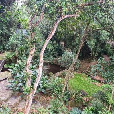 Sitio com 850m², 6 quartos, 3 garagens, no bairro Barra da Lagoa em Florianópolis