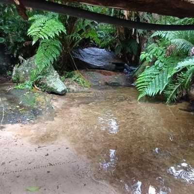 Sitio com 850m², 6 quartos, 3 garagens, no bairro Barra da Lagoa em Florianópolis