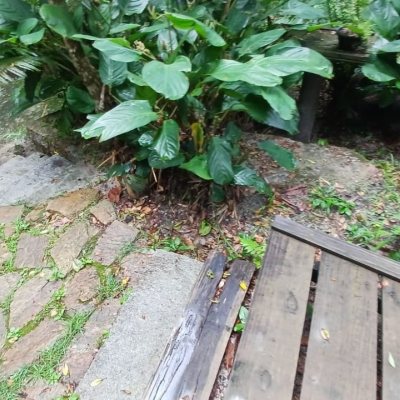 Sitio com 850m², 6 quartos, 3 garagens, no bairro Barra da Lagoa em Florianópolis