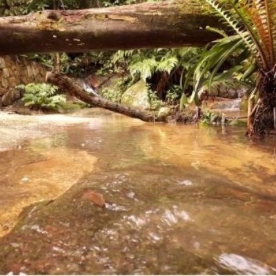 Sitio com 850m², 6 quartos, 3 garagens, no bairro Barra da Lagoa em Florianópolis