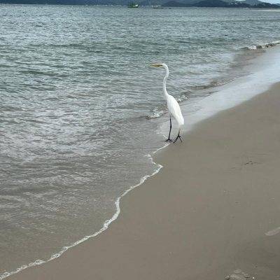 Apartamentos com 42m², 1 quarto, 1 garagem, no bairro Ingleses do Rio Vermelho em Florianópolis