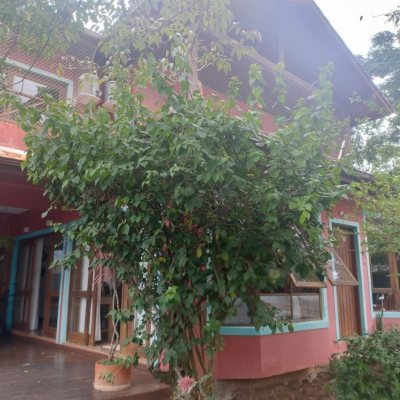 Casa Residencial com 288m², 5 quartos, 1 suíte, 2 garagens, no bairro Campeche em Florianópolis