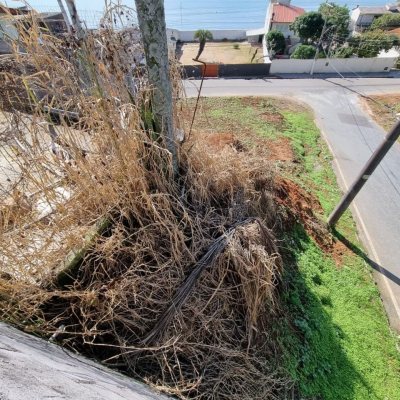 Terreno Comercial/Residencial com 434m², no bairro Serraria em São José