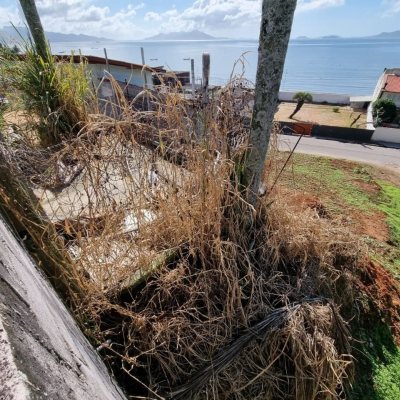 Terreno Comercial/Residencial com 434m², no bairro Serraria em São José