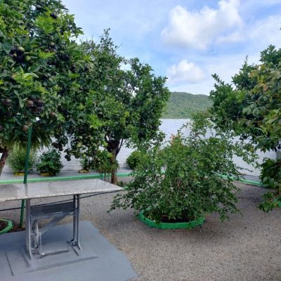 Casa Residencial com 111m², 3 quartos, 1 suíte, 3 garagens, no bairro São João Do Rio Vermelho em Florianópolis