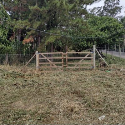 Terrenos Residenciais com 28060m², no bairro Itacorubi em Florianópolis