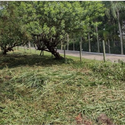 Terrenos Residenciais com 28060m², no bairro Itacorubi em Florianópolis