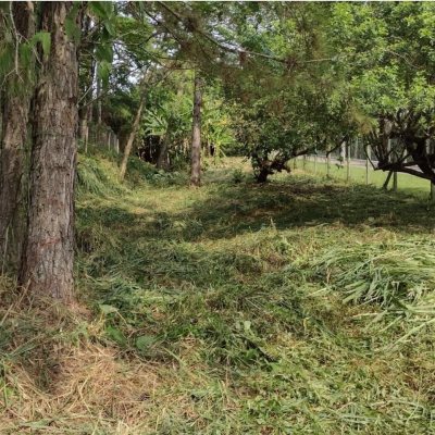 Terrenos Residenciais com 28060m², no bairro Itacorubi em Florianópolis