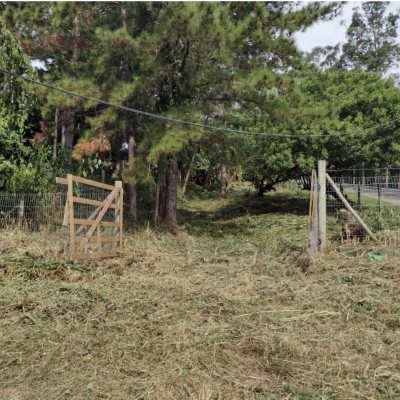 Terrenos Residenciais com 28060m², no bairro Itacorubi em Florianópolis