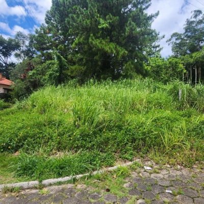 Terrenos Residenciais com 28060m², no bairro Itacorubi em Florianópolis