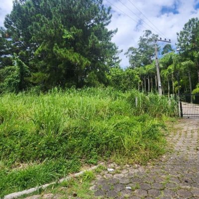Terrenos Residenciais com 28060m², no bairro Itacorubi em Florianópolis