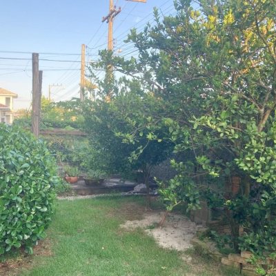 Casa Residencial com 239m², 5 quartos (sendo 1 suíte), 2 garagens, no bairro Carianos em Florianópolis