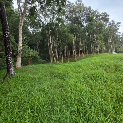 Terrenos Residenciais com 1011m², no bairro Invernadinha em Rancho Queimado