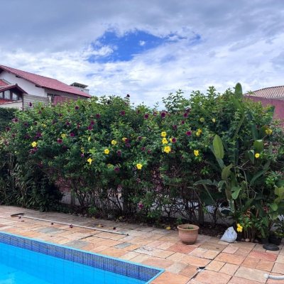 Casa Residencial com 240m², 3 quartos (sendo 1 suíte), 2 garagens, no bairro Córrego Grande em Florianópolis