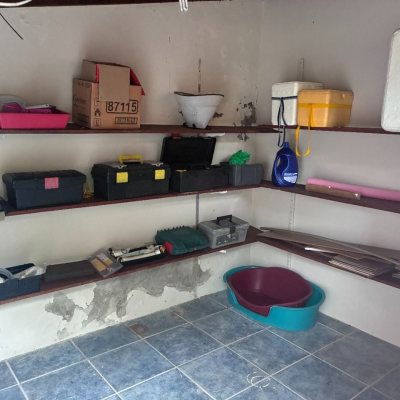 Casa Residencial com 240m², 3 quartos (sendo 1 suíte), 2 garagens, no bairro Córrego Grande em Florianópolis