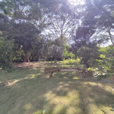 Apartamentos com 85m², 2 quartos, 1 suíte, 1 garagem, no bairro Ingleses do Rio Vermelho em Florianópolis