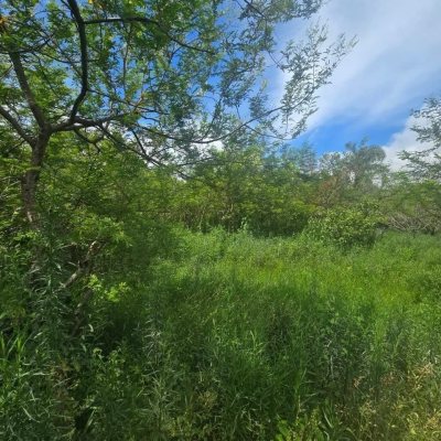 Terreno Comercial/Residencial com 394m², no bairro Pântano Do Sul em Florianópolis