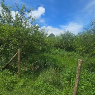 Terreno Comercial/Residencial com 394m², no bairro Pântano Do Sul em Florianópolis