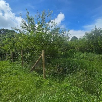 Terreno Comercial/Residencial com 391m², no bairro Pântano Do Sul em Florianópolis