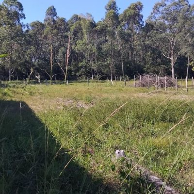 Terreno Comercial/Residencial com 364m², no bairro São João Do Rio Vermelho em Florianópolis