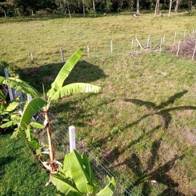 Terreno Comercial/Residencial com 364m², no bairro São João Do Rio Vermelho em Florianópolis
