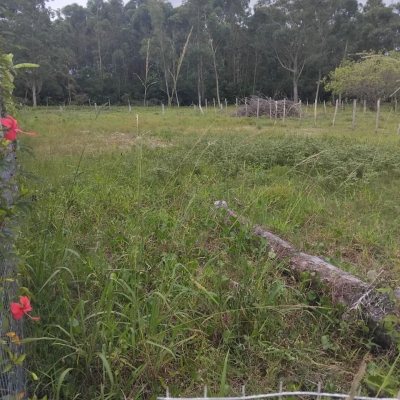 Terreno Comercial/Residencial com 364m², no bairro São João Do Rio Vermelho em Florianópolis