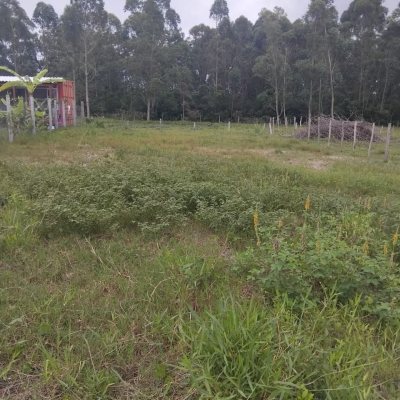 Terreno Comercial/Residencial com 364m², no bairro São João Do Rio Vermelho em Florianópolis