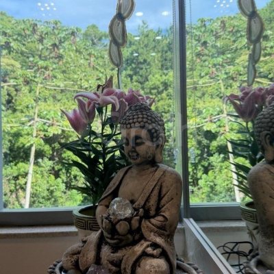 Sala com 26m², 1 garagem, no bairro Saco Grande em Florianópolis