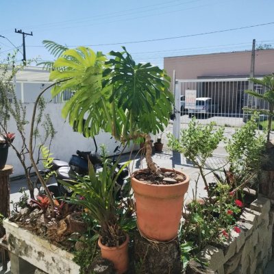 Apartamentos com 59m², 2 quartos (sendo 1 suíte), 1 garagem, no bairro Guarda Do Cubatão em Palhoça