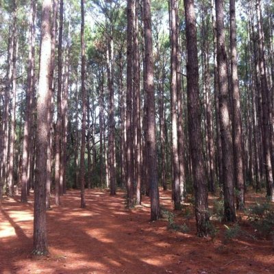 Sobrado Residencial com 144m², 3 quartos, 2 garagens, no bairro São João Do Rio Vermelho em Florianópolis