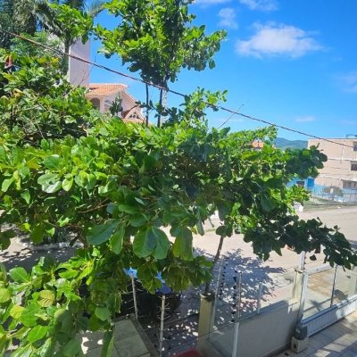 Apartamentos com 56m², 2 quartos, 1 garagem, no bairro Canasvieiras em Florianópolis