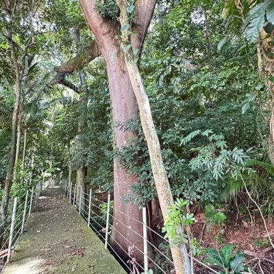 Apartamentos com 74m², 2 quartos, 1 suíte, 1 garagem, no bairro Coqueiros em Florianópolis