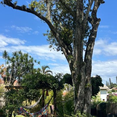 Casa Residencial com 228m², 3 quartos, 1 suíte, 2 garagens, no bairro Sambaqui em Florianópolis