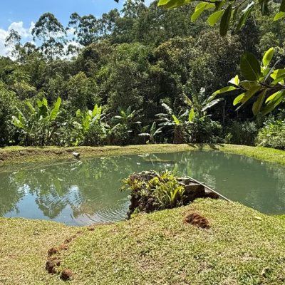 Chacara com 100m², 1 quarto, 3 garagens, no bairro Localidade De Freitas em Paulo Lopes