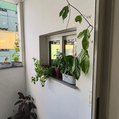 Apartamentos com 142m², 3 quartos, 1 suíte, 2 garagens, no bairro Centro em Florianópolis