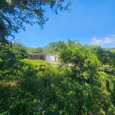 Chacara com 3699m², 2 quartos, no bairro Fazenda De Dentro em Biguaçu