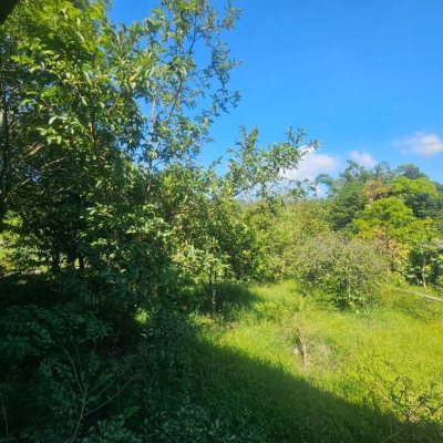 Chacara com 3699m², 2 quartos, no bairro Fazenda De Dentro em Biguaçu