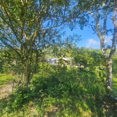 Chacara com 3699m², 2 quartos, no bairro Fazenda De Dentro em Biguaçu