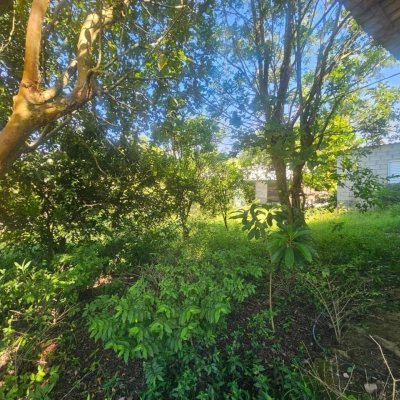 Chacara com 3699m², 2 quartos, no bairro Fazenda De Dentro em Biguaçu