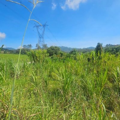 Chacara com 3699m², 2 quartos, no bairro Fazenda De Dentro em Biguaçu