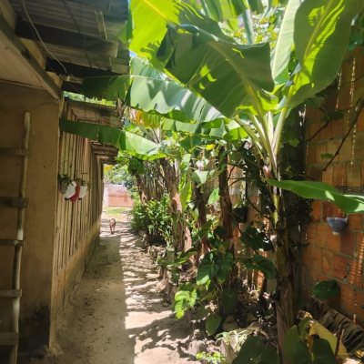 Casa Residencial com 182m², 3 quartos, 2 garagens, no bairro Vargem Grande em Florianópolis