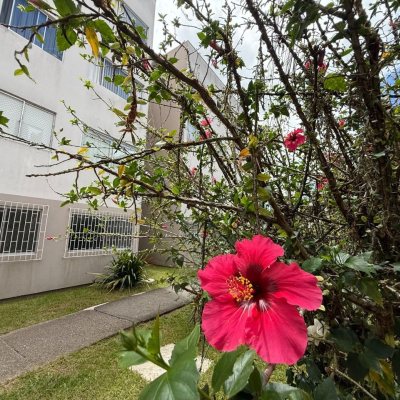Apartamentos com 59m², 3 quartos, 1 garagem, no bairro Itacorubi em Florianópolis
