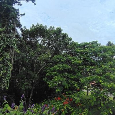 Casa em Condomínio com 286m², 4 quartos, 1 suíte, 3 garagens, no bairro Sambaqui em Florianópolis