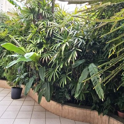 Apartamentos com 80m², 2 quartos, 1 garagem, no bairro Centro em Florianópolis