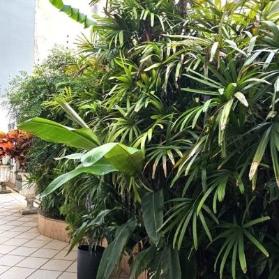 Apartamentos com 80m², 2 quartos, 1 garagem, no bairro Centro em Florianópolis