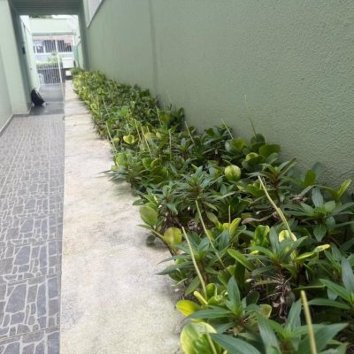 Apartamentos com 65m², 2 quartos, 1 garagem, no bairro Centro em Florianópolis