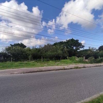 Terreno Comercial/Residencial com 2829m², no bairro Vargem Grande em Florianópolis