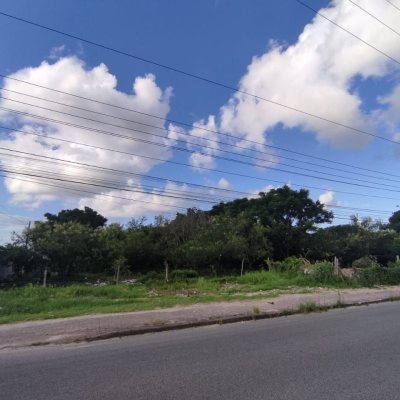 Terreno Comercial/Residencial com 2829m², no bairro Vargem Grande em Florianópolis