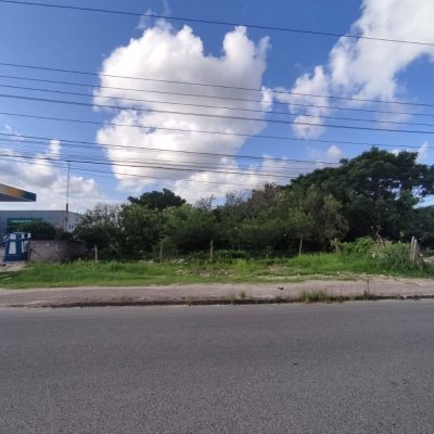 Terreno Comercial/Residencial com 2829m², no bairro Vargem Grande em Florianópolis