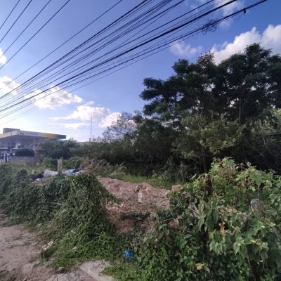 Terreno Comercial/Residencial com 2829m², no bairro Vargem Grande em Florianópolis